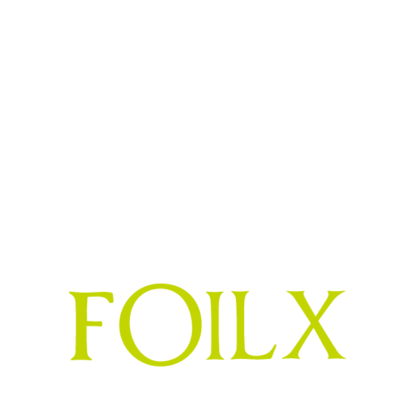 FoilX Logo Formation